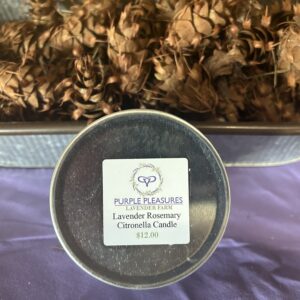 Rosemary Lavender Citronella Candle